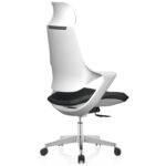Buy Furnifix Luxury Office Chair Grand G2 - Furnifix