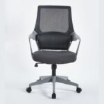 Buy Furnifix Luxury Office Chair Elegant E1 (Grey) - Furnifix
