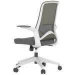 Buy Furnifix Luxury Office Chair Pristine P1 (Grey) - Furnifix