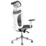 Buy Furnifix Luxury Office Chair Aristocratic Lite (Grey) - Furnifix