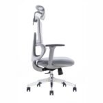 Buy Furnifix Luxury Cushion Office Chair (White) - Furnifix