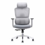 Buy Furnifix Luxury Cushion Office Chair (White) - Furnifix