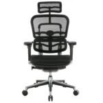 Buy Furnifix Luxury Office Chair Elegant Ultra (Black) - Furnifix