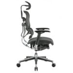 Buy Furnifix Luxury Office Chair Elegant Ultra (Black) - Furnifix