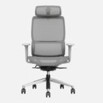 Buy Furnifix Luxury Office Chair Refined R1 - Furnifix