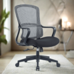 Buy Furnifix Luxury Office Chair Exclusive EC1 Black - Furnifix