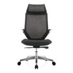 Buy Furnifix Luxury Office Chair Refined Edge 02 - Furnifix