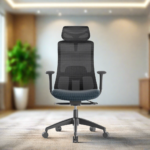 Buy Furnifix Luxury Office Chair Imperial L1 (Black) - Furnifix