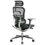 Buy Furnifix Luxury Office Chair Elegant Ultra (Black) - Furnifix