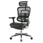 Buy Furnifix Luxury Office Chair Elegant Ultra (Black) - Furnifix