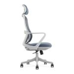 Buy Furnifix Luxury Office Chair Elegance (White) - Furnifix