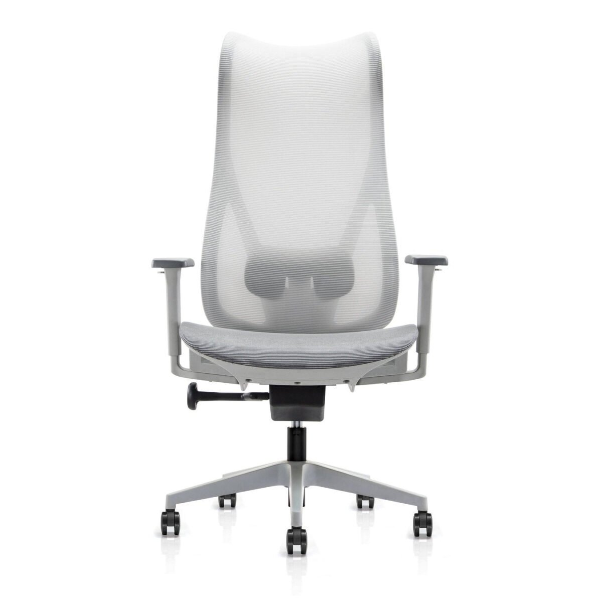 Buy Furnifix Luxury Office Chair Luxe L1 (Grey) - Furnifix