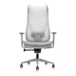 Buy Furnifix Luxury Office Chair Luxe L1 (Grey) - Furnifix