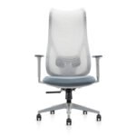 Buy Furnifix Luxury Office Chair Platinum Curve - Furnifix