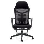 Buy Furnifix Luxury Office Chair Premium Rich - Furnifix
