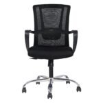 Buy Furnifix Luxury Office Chair Elite EL2 - Furnifix