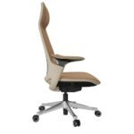 Buy Furnifix Prestige Luxury Office Chair (Brown) - Furnifix