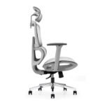 Buy Furnifix Luxury Office Chair Premium Pattern 171 - Furnifix