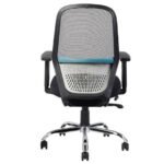 Buy Furnifix Luxury Office Chair Noble N1 (Black) - Furnifix
