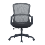 Buy Furnifix Luxury Office Chair Exclusive EC1 Black - Furnifix