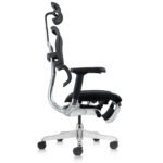 Buy Furnifix Luxury Office Chair Elegant Elite - Furnifix