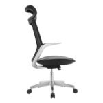 Buy Furnifix Luxury Office Chair Grand G1 - Furnifix