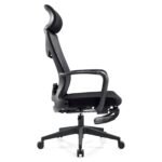 Buy Furnifix Luxury Office Chair Premium Rich - Furnifix