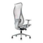 Buy Furnifix Luxury Office Chair Luxe L1 (Grey) - Furnifix
