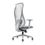 Buy Furnifix Luxury Office Chair Platinum Curve - Furnifix