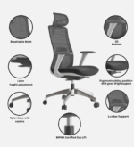 Buy Furnifix Luxury Office Chair Imperial L1 (Grey) - Furnifix
