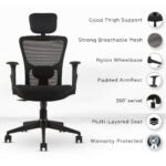 Buy Furnifix Stylish Executive Work Chair - Furnifix