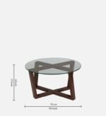 Buy Furnifix Exclusive Coffee Table WCT 16 - Furnifix