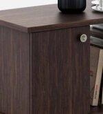 Buy Furnifix Exclusive Coffee Table WCT 12 - Furnifix